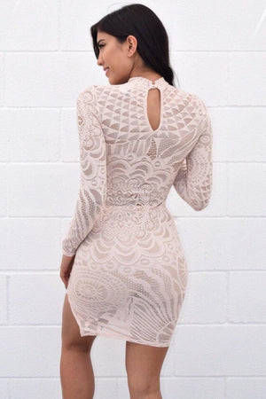 Lace see through long sleeve nude dress - Dimesi Boutique